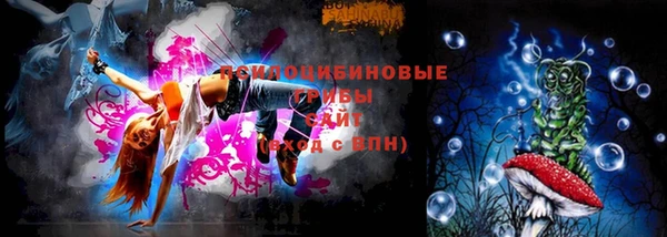 стаф Алексин