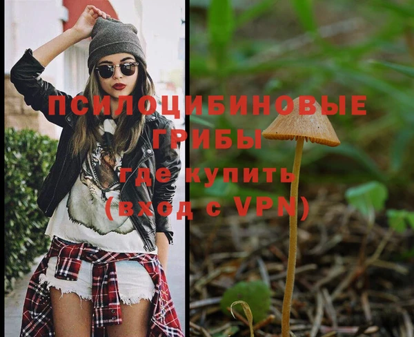 метадон Елабуга