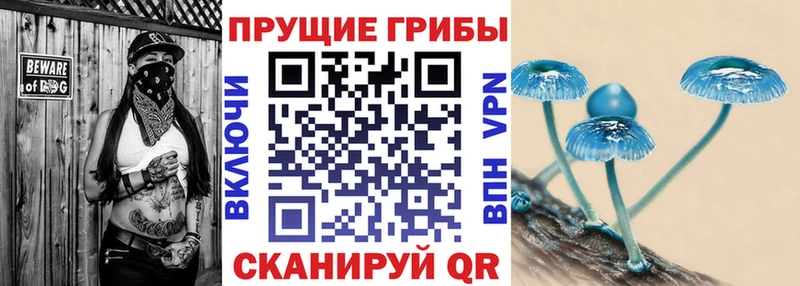 Галлюциногенные грибы прущие грибы Калининск