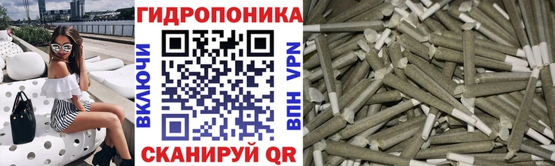 Бошки марихуана план  Калининск 